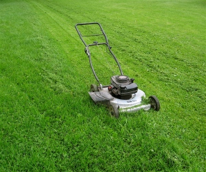 cutting-grass